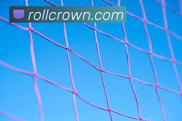 皇冠crown体育平台服务体系